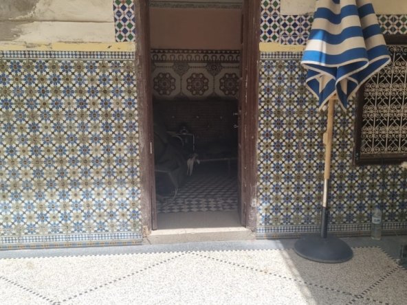 WhatsApp Image 2025-09-13 at 23.18.01(1)